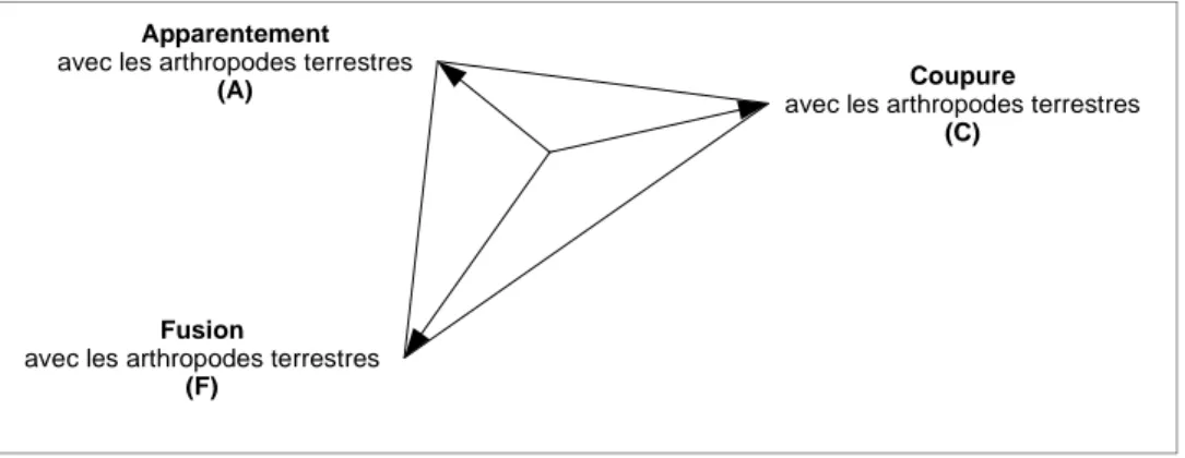 Figure 4. Le modèle d'analyse Savoir-Maturité Affective (SMA) 