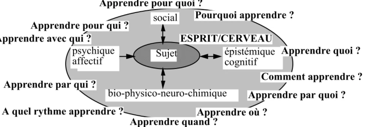 Figure 2 : questionnement fondamental pour explorer le processus apprendre 