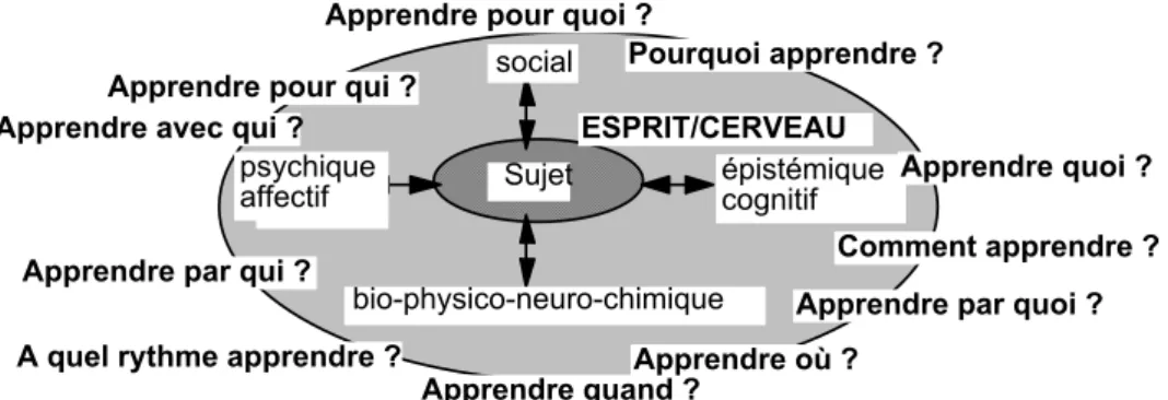 Figure 2 : schématisation du réseau sémantique d’apprendre 