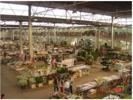 Foto 7: Mercado de Flores de Erculano 