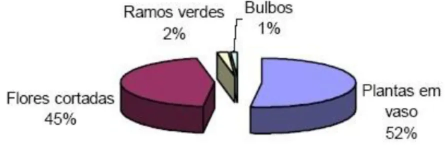 Gráfico 1: Principais cultivo de flores na Itália. 