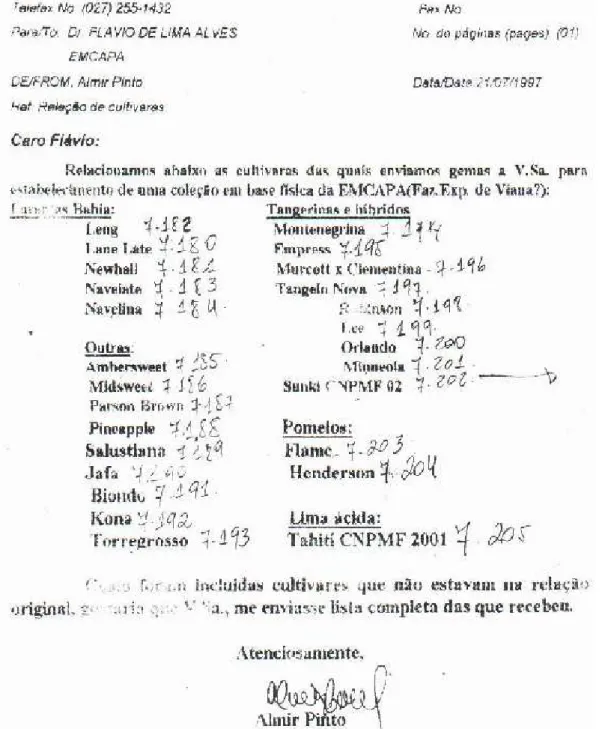 Figura 9 - Materiais genéticos de citros provenientes Centro Nacional de  Pesquisa  de  Mandioca  e  Fruticultura  da  Embrapa  -  Cruz  das  Almas/BA (ano 1997)