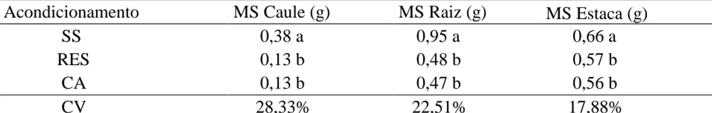 Tabela 3: Médias de massa seca de caule, raiz e estaca de diferentes acondicionamentos de estacas