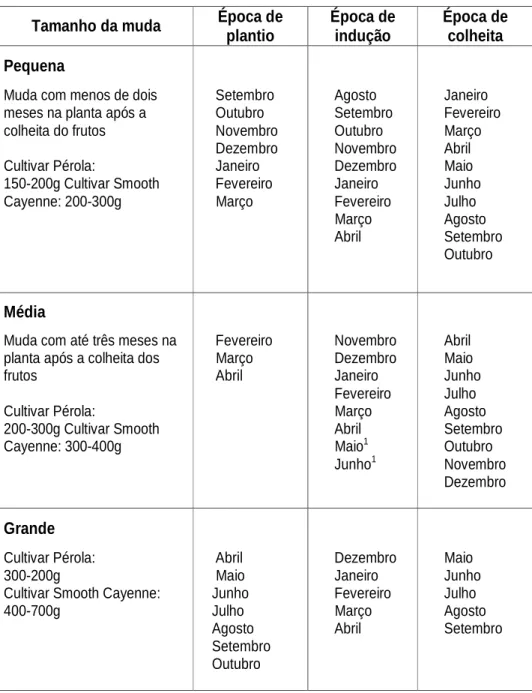Tabela 1 – Tamanho da muda, época de plantio, indução floral e         colheita dos frutos do abacaxizeiro.