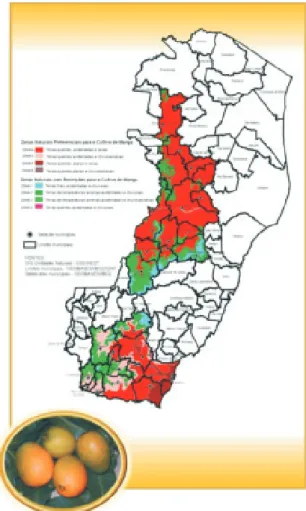 FIGURA 1 - Zoneamento do pólo de manga no Estado do Espírito Santo.