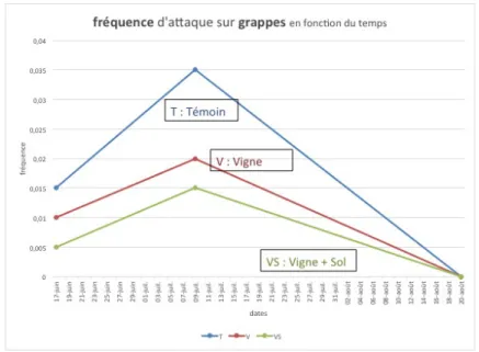 Figure 8 : Schéma quantifiant les attaques sur grappe du mildiou (Source : Nathalie  Dallemagne-CAB) 