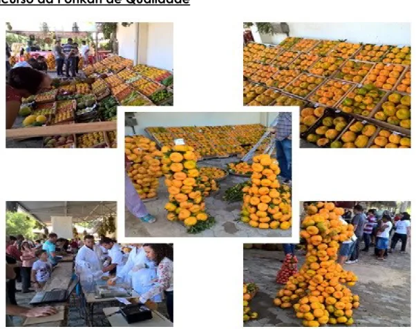 Figura 10- Concurso da Ponkan de Qualidade/Festa da Fruta, comunidade de Santa Luzia, Conceição  do Castelo