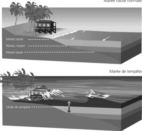 Fig. 2.4. - Marée de tempête.