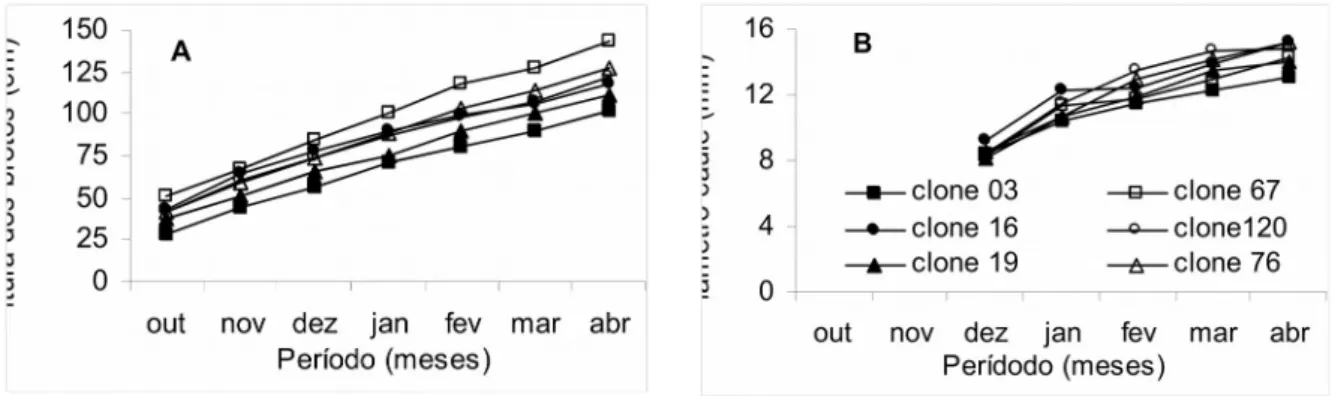 FIGURA   1- Altura  de  brotos (A),  diâmetro  do  caule  (B),  relação  diâmetro:altura  (C) nos meses seguintes à poda de renovação, e produtividade (D) de seis clones de café conilon
