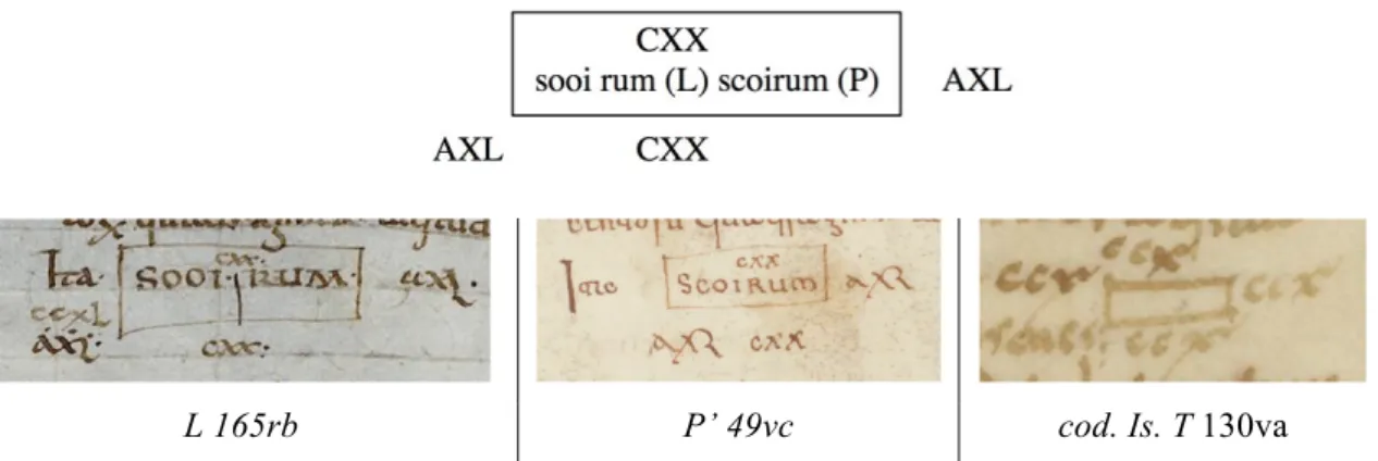 Figure 23. Lib. gl. IV 123 Iugerum, sur L et P, comparés au témoins T des Étym. 