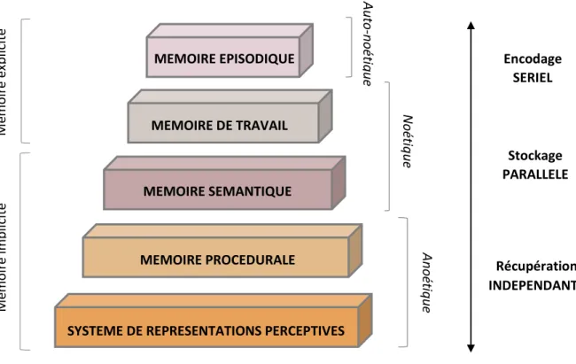 Figure 1. Modèle d’organisation hiérarchique SPI (Tulving, 1995 ; 2001)  MEMOIRE EPISODIQUE 