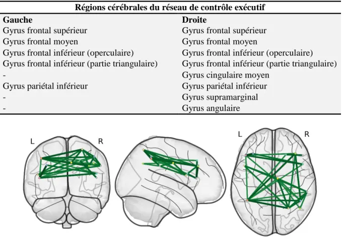 Tableau 9. Régions cérébrales composant le réseau de contrôle exécutif 