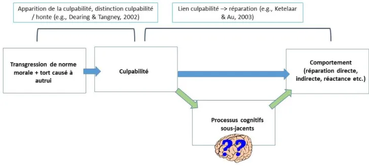 Figure  1.  Schéma  du  lien  culpabilité  –  réparation  et  implication  possible  des  processus  cognitifs sous-jacents