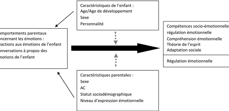 Figure 1 : Modèle adapté de Mazzone et Nader-Gros ois, i spiré d’Eise erg et al. 1