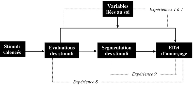 Figure 1 : Schéma récapitulatif du test de l’hypothèse de segmentation des stimuli 
