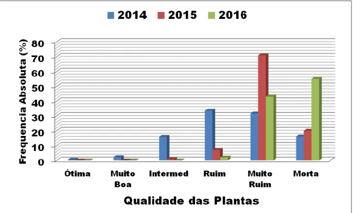 Figura  6  -   Frequência  absoluta  de  plantas  de  aroeira  cultivadas  em  condições  de  estresse  hídrico  no  período  de  2014  a  2016  (hipoxia  em  2014  e  déficit  hídrico  em  2015  e  2016), em um espodossolo, no município de Linhares-ES