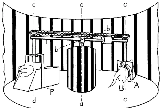 Figure 8 : Dispositif expérimental de Held et Hein 