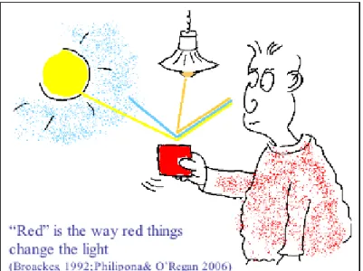 Figure 12 : Représentation du &#34;rouge&#34; dans la théorie sensorimotrice : la couleur rouge est définie par la  manière dont les choses rouges changent la lumière (O'Regan, 2011)