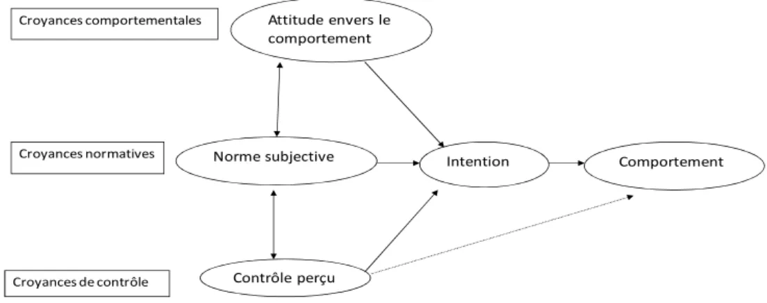 Figure 1: modélisation de la théorie du comportement planifié (Ajzen, 1991) 