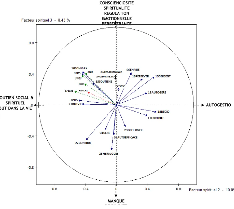 Figure 2 : Cercle des corrélations selon les axes spirituels de l’ACP 