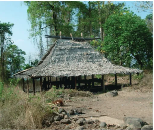 Fig. 9 : Crocodile sur le toit d’une maison cérémonielle, Ratulodong, 2007