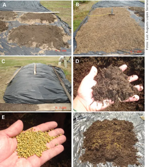 Figura 1. Resíduos da agroindústria canavieira dispostos sobre a lona, com  o bagacilho-de-cana sob a torta de filtro (A)