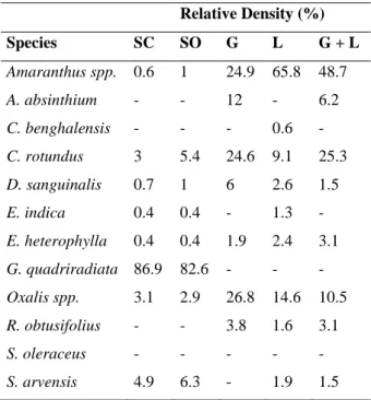 Table  3  shows  a  higher  relative  density  of  the  specie  Galinsoga quadriradiata, both in the conventional system  (CS)  and  in  the  organic  system  without  straw  (OS)