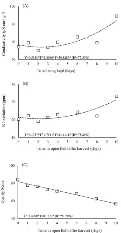 Figure 2. Characteristics of quality of Conilon coffee as function of the  time  being  kept  in  the  field  after  harvesting:  electric  conductivity  (A),  lixiviation  of  potassium  (B)  and  score  of  the  beverage  (C)  (Marilândia,  Espírito Sant