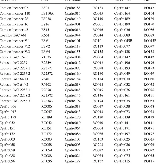 Table 1 Coffea canephora accessions maintained in the Germplasm Bank of Embrapa Rondoˆnia