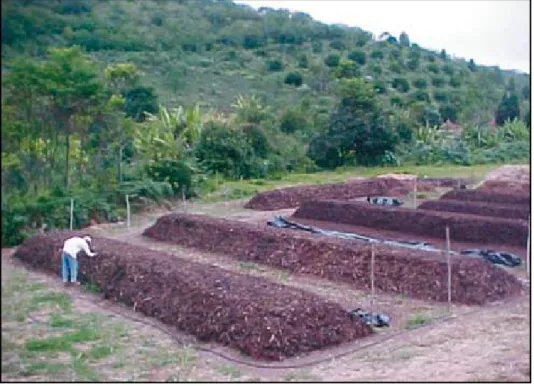 Figura 2 - Pátio de compostagem orgânica – Centro de Desenvolvimento Sustentável  Guaçu-virá