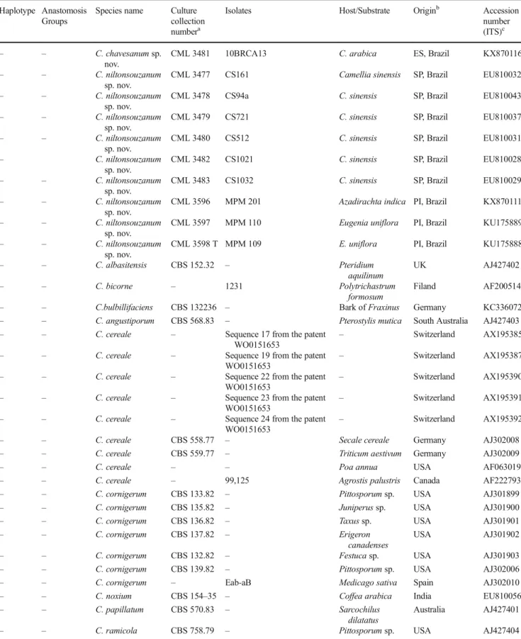 Table 1 (continued) Haplotype Anastomosis