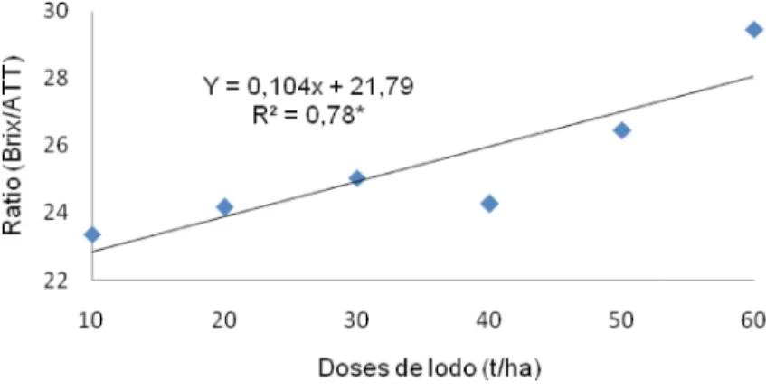 Figura 4. Valores de Ratio dos frutos da goiabeira em função de doses de lodo de ETE.