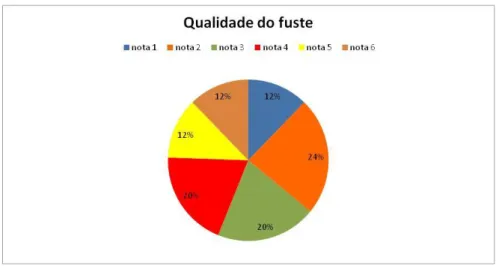 Figura  3:  Porcentagem  de  indivíduos  representados  pela  qualidade  do  fuste  das  árvores  de  pau-brasil  (Caesalpinia  echinata)  inventariadas  na  FEBN,  Cachoeiro  de  Itapemirim,  ES