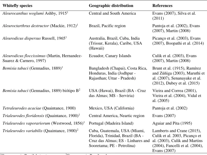 Table 1: Worldwide distribution of whiteflies (Hemiptera: Aleyrodidae) associated with papaya (Carica papaya  L.) 