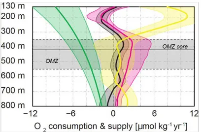Figure 2: Tropical North Atlantic OMZ budget. Oxygen budget of the eastern tropical North  Atlantic OMZ, derived from an extended observational program
