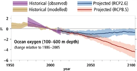 Figure 8: Historical and projected global deoxygenation. Observed (purple) and modeled  (brown) historical changes in the ocean since 1950, and projected future changes under low  (blue, RCP2.6) and high (red, RCP8.5) greenhouse gas emissions scenarios, of