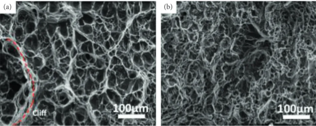 Figure 7: Fracture surfaces of toughness specimens in the crack propagation zone for (a) TL and (b) LS conﬁgurations.