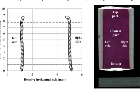 Figure 1: Degradation profile of CEM I paste sample after 1 month in ammonium nitrate (6M) at ambient  temperature