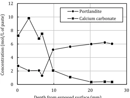 Figure 9: Portlandite and calcium carbonate contents profile of the CEM I paste (80°C and 65% 