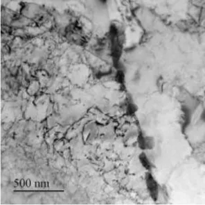 FIG. 7. Overview of coarse intra and intergranular precipitates. Note that precipitate surfaces  promote bubble nucleation