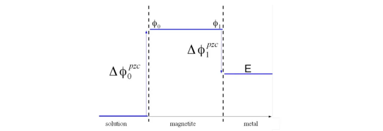 Figure   3: Potential profile in the solution/magnetite/metal system of figure 2 at the chemical equilibrium (1)
