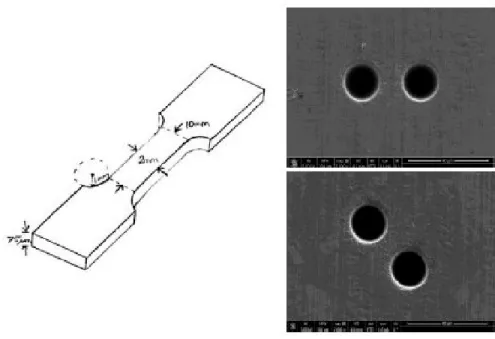 Figure 1: Tensile sample geometry and holes (20 µm diameter) drilled by FIB (Focused Ion Beam) through the thickness of the samples to assess void growth and coalescence.