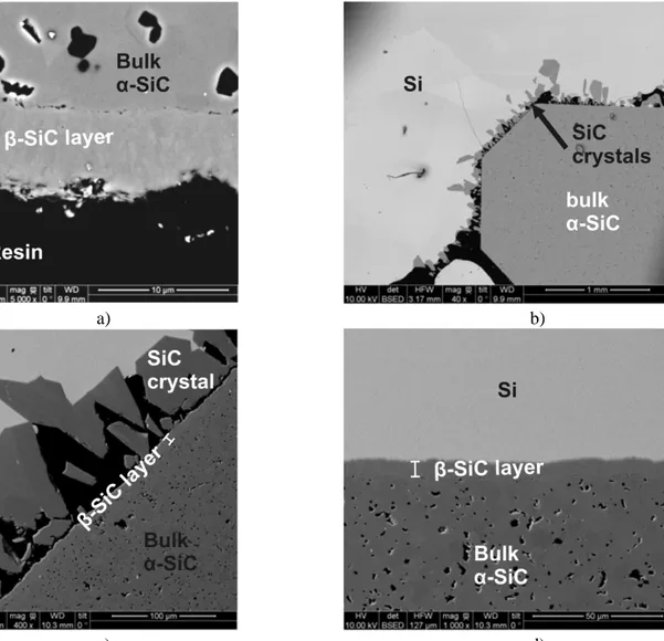 Figure 8. Backscattered electrons images of the SiC pellet in silicon after 1450°C for 4h:  