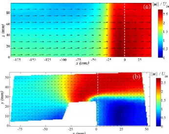 Figure  4  provides  2D  dimensionless  mean  velocity  field,  averaged  over  250  velocity  fields,  in  the  inlet  area, 