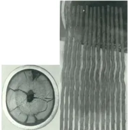 Fig. 8: Pin deformation. 