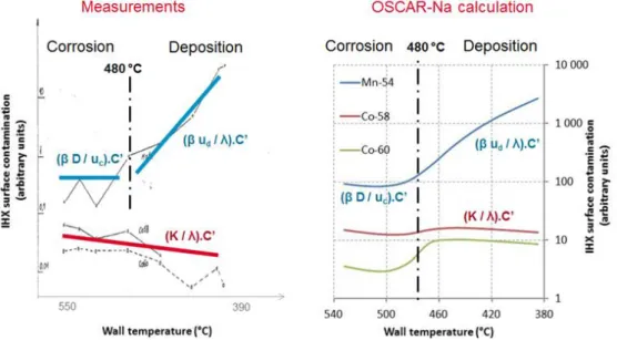 Figure 1 : Comparison measurements/OSCAR-Na calculation - PHENIX reactor IHX contamination