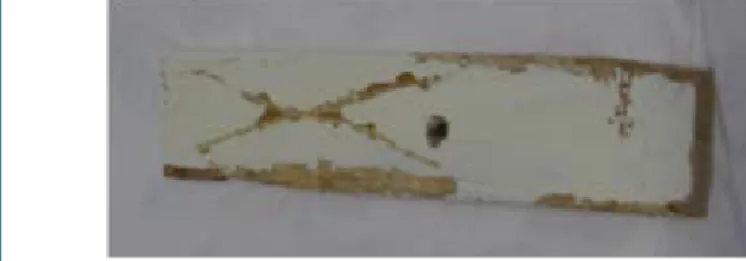 Figure 2: Tritium measured on a piece of wood 