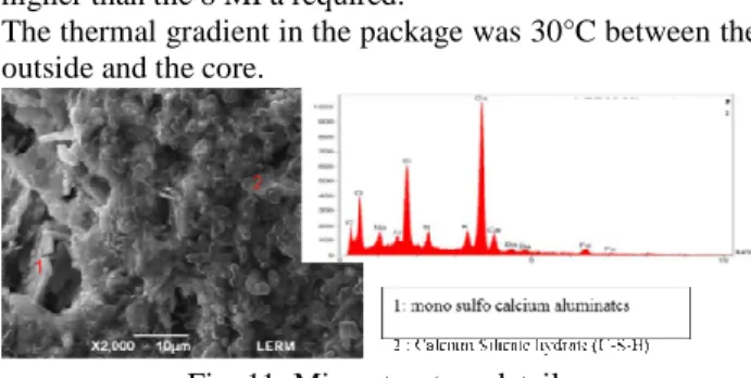 Fig. 11: Microstructure details 