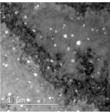 Figure 1: Spherical nanovoids observed by Transmission Electron Microscope (TEM) after ion-irradiation in austenitic steel