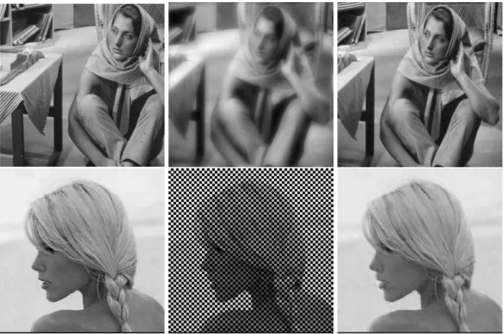 Figure 17: Illustration of the use of curvelets (DCTG2 transform) when solving two typical linear inverse problems: deconvolution (first row), and inpainting (second row)